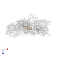 Small ribosomal subunit protein bS6 in PDB entry 2uuc, assembly 1, top view.