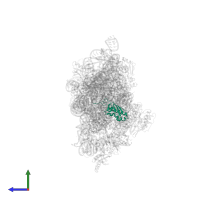 Small ribosomal subunit protein uS9 in PDB entry 2uuc, assembly 1, side view.
