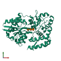 PDB entry 2uvj coloured by chain, front view.