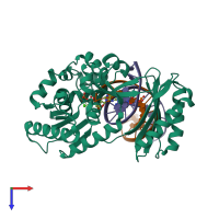 PDB entry 2uvr coloured by chain, top view.
