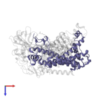 Reaction center protein M chain in PDB entry 2uws, assembly 1, top view.