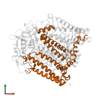 Reaction center protein L chain in PDB entry 2uwt, assembly 1, front view.