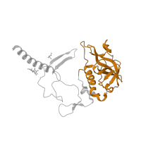 The deposited structure of PDB entry 2uwu contains 1 copy of CATH domain 3.90.50.10 (Photosynthetic Reaction Center; Chain H, domain 2) in Reaction center protein H chain. Showing 1 copy in chain A [auth H].