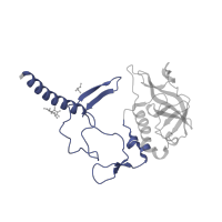 The deposited structure of PDB entry 2uwu contains 1 copy of CATH domain 4.10.540.10 (Photosynthetic Reaction Center; Chain H, domain 1) in Reaction center protein H chain. Showing 1 copy in chain A [auth H].