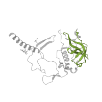 The deposited structure of PDB entry 2uwu contains 1 copy of Pfam domain PF05239 (PRC-barrel domain) in Reaction center protein H chain. Showing 1 copy in chain A [auth H].