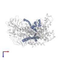 LAURYL DIMETHYLAMINE-N-OXIDE in PDB entry 2ux4, assembly 1, top view.