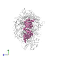 BACTERIOCHLOROPHYLL A in PDB entry 2ux5, assembly 1, side view.