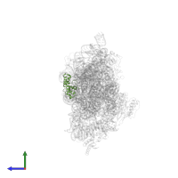 Small ribosomal subunit protein uS13 in PDB entry 2uxd, assembly 1, side view.