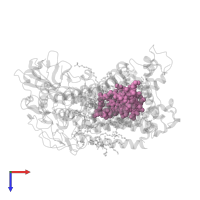 BACTERIOCHLOROPHYLL A in PDB entry 2uxk, assembly 1, top view.