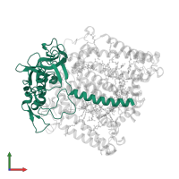 Reaction center protein H chain in PDB entry 2uxl, assembly 1, front view.