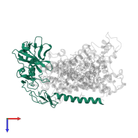Reaction center protein H chain in PDB entry 2uxl, assembly 1, top view.