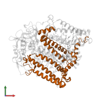 Reaction center protein L chain in PDB entry 2uxl, assembly 1, front view.
