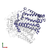 Reaction center protein M chain in PDB entry 2uxl, assembly 1, front view.