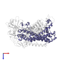 Reaction center protein M chain in PDB entry 2uxl, assembly 1, top view.