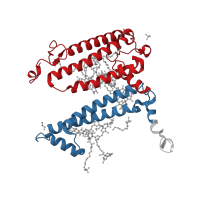 The deposited structure of PDB entry 2uxm contains 2 copies of CATH domain 1.20.85.10 (Photosynthetic Reaction Center, subunit M; domain 1) in Reaction center protein L chain. Showing 2 copies in chain B [auth L].