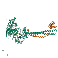 PDB entry 2uxx coloured by chain, front view.