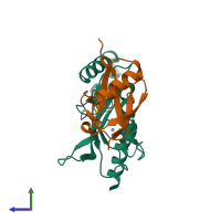 PDB entry 2uyz coloured by chain, side view.