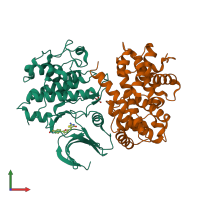 Hetero dimeric assembly 2 of PDB entry 2uzb coloured by chemically distinct molecules, front view.