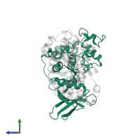 Cyclin-dependent kinase 2 in PDB entry 2uzb, assembly 1, side view.