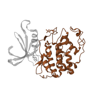 The deposited structure of PDB entry 2uzd contains 2 copies of CATH domain 1.10.510.10 (Transferase(Phosphotransferase); domain 1) in Cyclin-dependent kinase 2. Showing 1 copy in chain A.