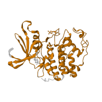 The deposited structure of PDB entry 2uzd contains 2 copies of Pfam domain PF00069 (Protein kinase domain) in Cyclin-dependent kinase 2. Showing 1 copy in chain A.