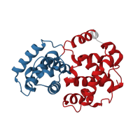 The deposited structure of PDB entry 2uzd contains 4 copies of CATH domain 1.10.472.10 (Cyclin A; domain 1) in Cyclin-A2. Showing 2 copies in chain B.