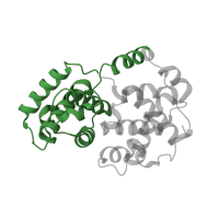 The deposited structure of PDB entry 2uzd contains 2 copies of Pfam domain PF00134 (Cyclin, N-terminal domain) in Cyclin-A2. Showing 1 copy in chain B.