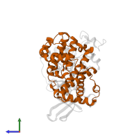 Cyclin-A2 in PDB entry 2uzd, assembly 1, side view.