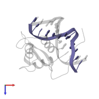 5'-D(*GP*TP*TP*GP*TP*TP*TP*AP*CP*AP*TP*AP*G)-3' in PDB entry 2uzk, assembly 1, top view.