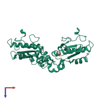 Homo dimeric assembly 3 of PDB entry 2uzq coloured by chemically distinct molecules, top view.