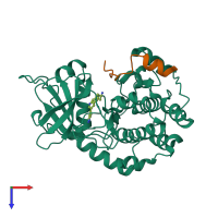 PDB 2uzt coloured by chain and viewed from the top.