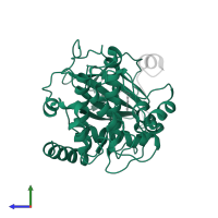 cAMP-dependent protein kinase catalytic subunit alpha in PDB entry 2uzu, assembly 1, side view.