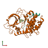 Hetero dimeric assembly 1 of PDB entry 2uzv coloured by chemically distinct molecules, front view.