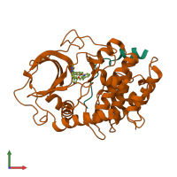 PDB entry 2uzv coloured by chain, front view.