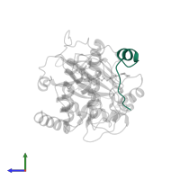 cAMP-dependent protein kinase inhibitor alpha in PDB entry 2uzv, assembly 1, side view.