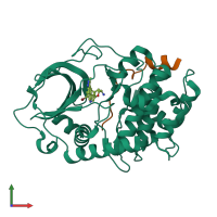 PDB entry 2uzw coloured by chain, front view.