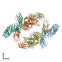 PDB entry 2uzy coloured by chain, front view.