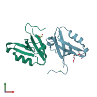 PDB entry 2v1w coloured by chain, front view.