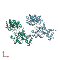 PDB entry 2v1x coloured by chain, front view.