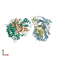 PDB entry 2v36 coloured by chain, front view.