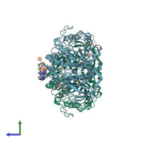 PDB entry 2v3f coloured by chain, side view.