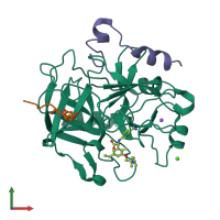PDB entry 2v3o coloured by chain, front view.