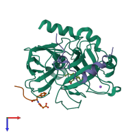 PDB entry 2v3o coloured by chain, top view.