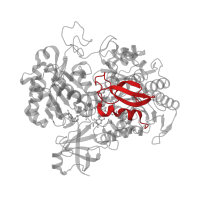 The deposited structure of PDB entry 2v45 contains 1 copy of CATH domain 2.20.25.90 (N-terminal domain of TfIIb) in Periplasmic nitrate reductase. Showing 1 copy in chain A.