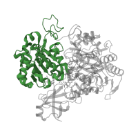 The deposited structure of PDB entry 2v45 contains 1 copy of CATH domain 3.40.228.10 (Dimethylsulfoxide Reductase; domain 2) in Periplasmic nitrate reductase. Showing 1 copy in chain A.