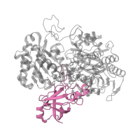 The deposited structure of PDB entry 2v45 contains 1 copy of SCOP domain 50696 (Formate dehydrogenase/DMSO reductase, C-terminal domain) in Periplasmic nitrate reductase. Showing 1 copy in chain A.