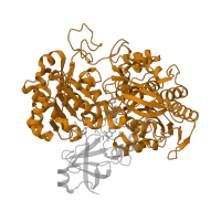 The deposited structure of PDB entry 2v45 contains 1 copy of SCOP domain 53707 (Formate dehydrogenase/DMSO reductase, domains 1-3) in Periplasmic nitrate reductase. Showing 1 copy in chain A.