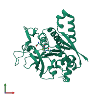 PDB entry 2v4u coloured by chain, front view.