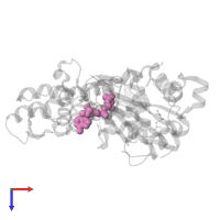 ADENOSINE-5'-TRIPHOSPHATE in PDB entry 2v52, assembly 1, top view.