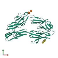 PDB entry 2v5m coloured by chain, front view.